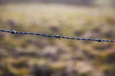 Dikenli tele yakın çekim, arka planda çayır