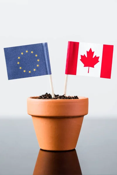 Flaggen Von Europa Und Kanada Pflanztopf Konzept Ceta — Stockfoto