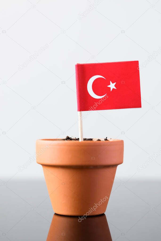 flag of turkey in a plant pot, concept economy growth