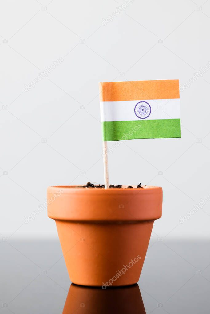 flag of india in a plant pot, concept economy growth