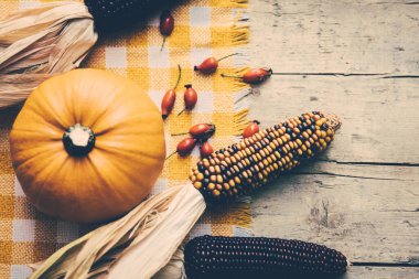 Balkabağı, mısır koçanı ve eski ahşap arka planda gül kalçası.