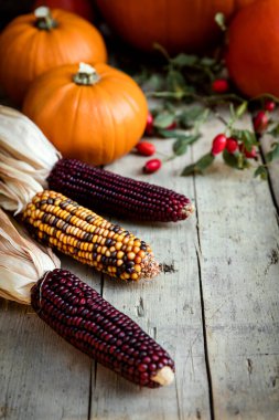 Tahta bir masada çeşitli sonbahar süslemelerinin üst görüntüsü