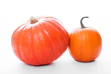 Beyaz arkaplan önünde iki balkabağı