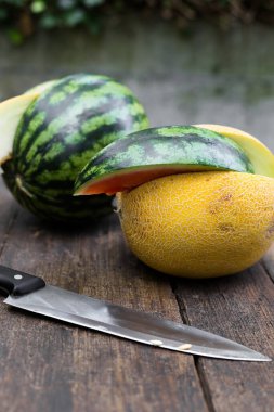 Bir kanarya ve dilimli karpuz manzarası