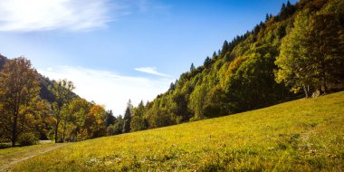 Kara Orman ve Panorama 'da tepeler ve tarlalar var.