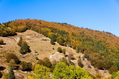 Kara Orman 'da manzara, ağaçlı taşlı dağ, sonbahar mevsimi.