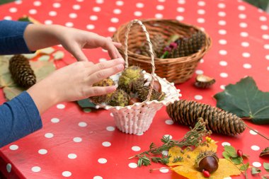 uçta sonbahar meyveleri ile yaratıcı çalışma, yakın plan