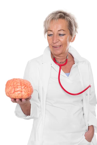 Female Doctor Holding Plastic Brain Isolated Front White — Stock Photo, Image