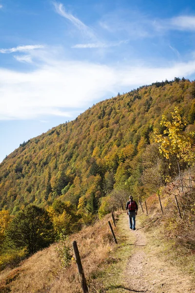 男は黒い森の中の美しい歩道をハイキングしています 秋の季節 — ストック写真