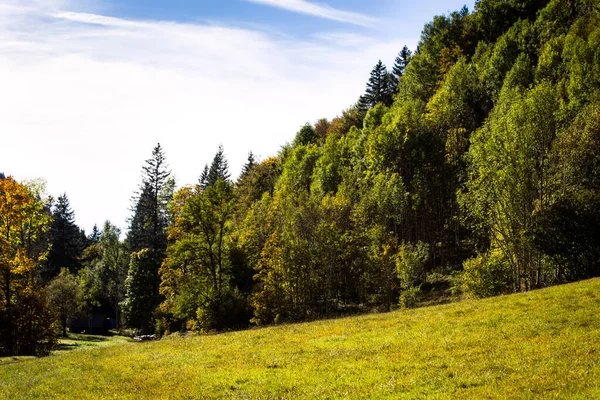 德国黑森林地区的树木和田野 秋季季节 — 图库照片
