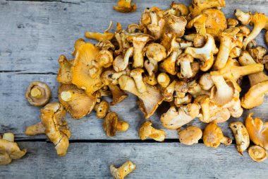 Ormanı karıştırdıktan sonra tahta bir masanın üzerinde taze Chanterelles.