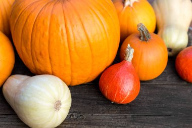 Tahta bir masa üzerinde farklı türde balkabakları, kopyalanmış uzay