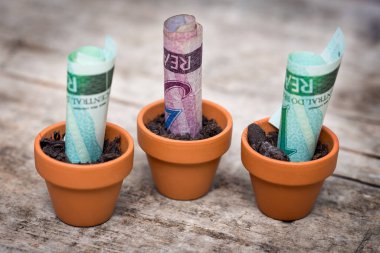 Brezilya bankası gerçek, konsept büyüme, ahşap zemin