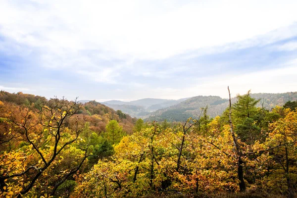 チューリンゲンの森からの秋の季節 丘陵とカラフルな風景 コピースペース — ストック写真