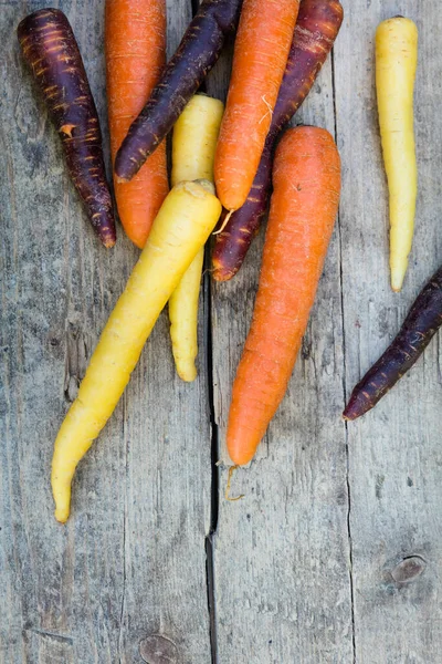 Las Zanahorias Distintas Los Colores Púrpura Anaranjado Amarillo Sobre Mesa — Foto de Stock