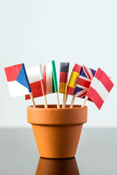 plant pot with different flags, concept population increase or economic increase, nato and european union