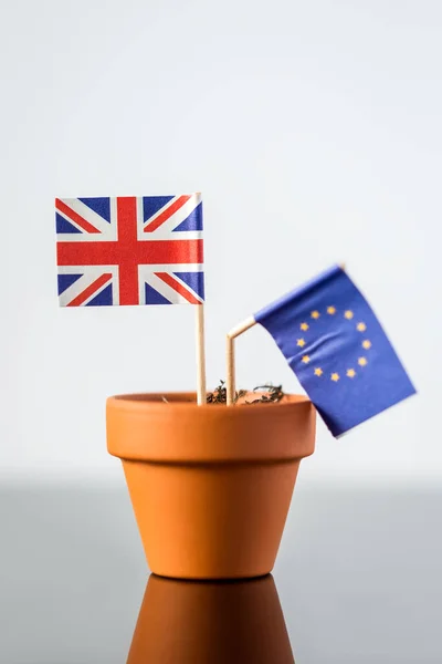 Pflanztopf Mit Europäischer Und Britischer Flagge Konzept Bevölkerungszunahme Freihandelsabkommen Oder — Stockfoto