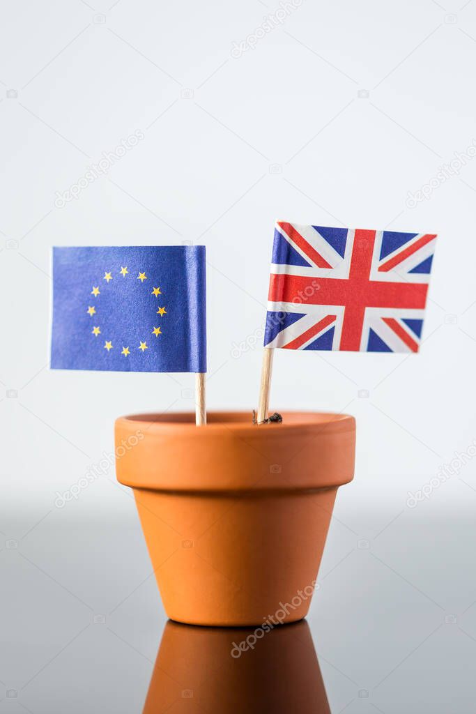 plant pot with european and british flag, concept population increase, FTA or nato