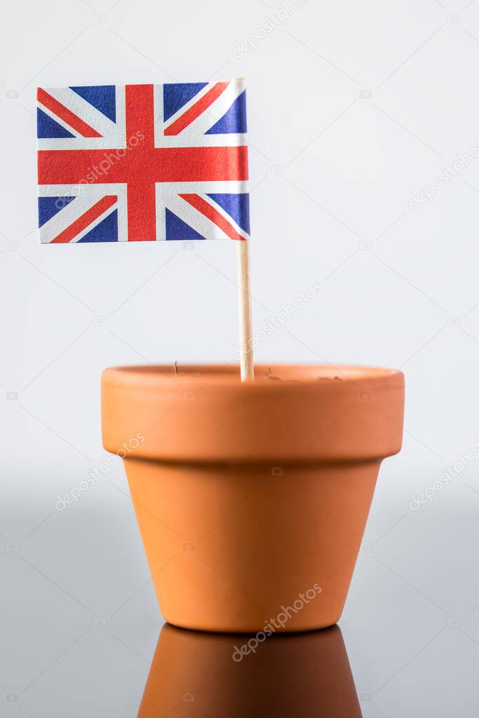plant pot with british flag, concept population increase or economic increase