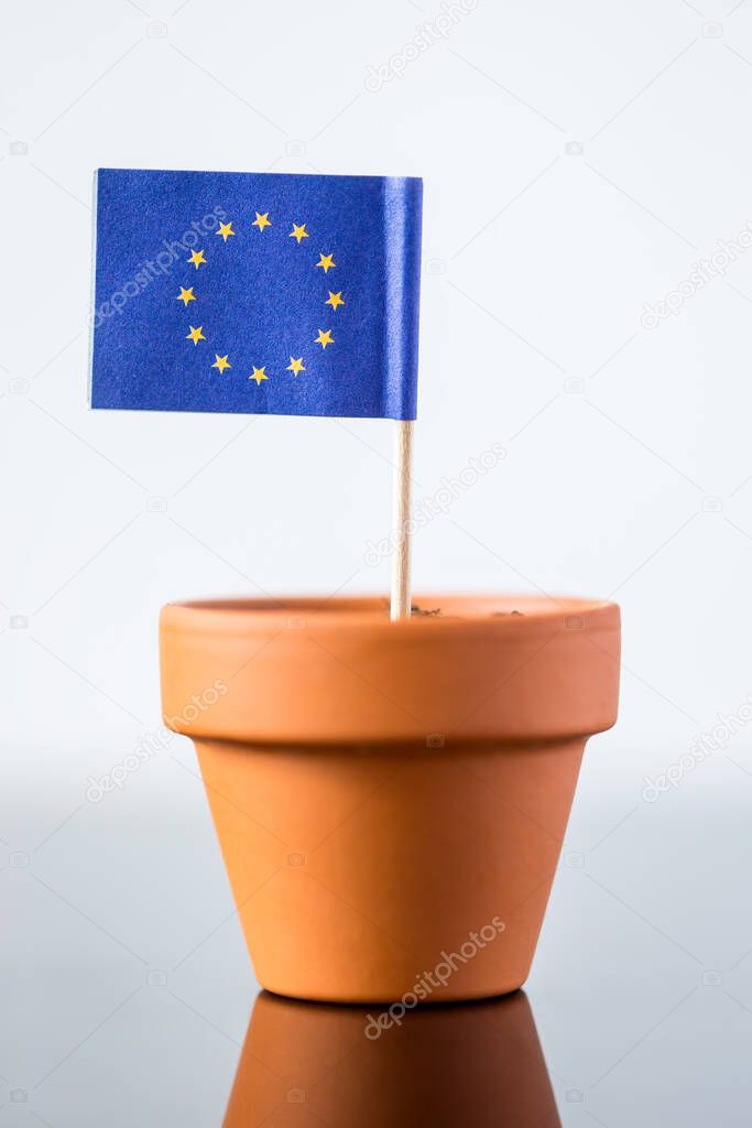 plant pot with european flag, concept population increase or economic increase