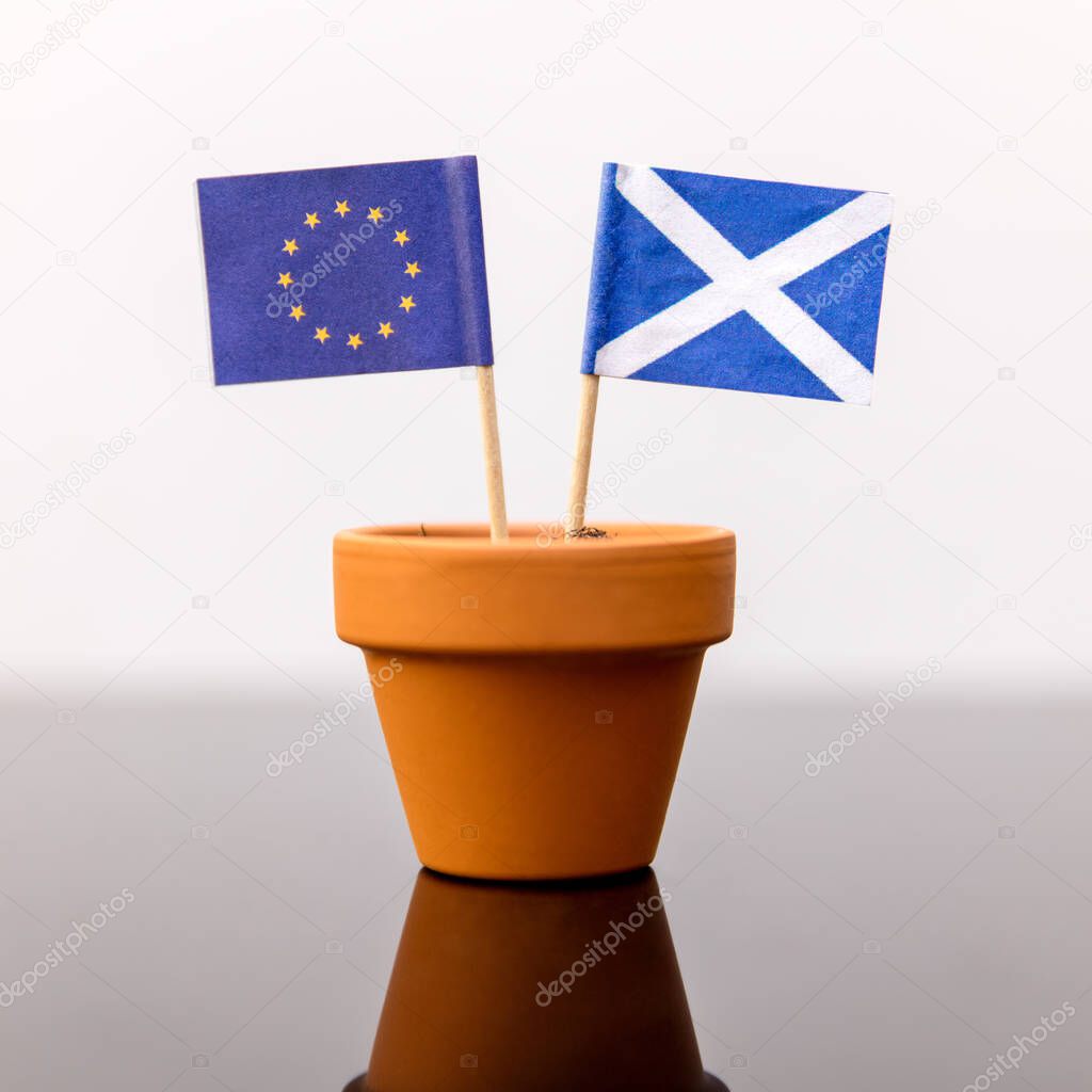 plant pot with scottish and european flag, concept independence and increase, member of eu