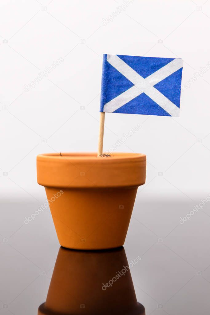 plant pot with scottish flag, concept independence and increase