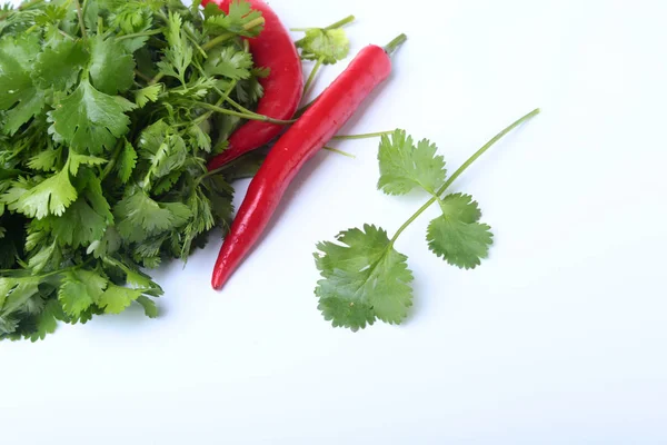 Fresh green cilantro, coriander leaves and chili pepper isolated on white bacground.