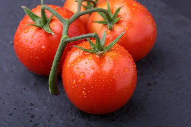 Çok taze ve lezzetli kırmızı domatesli domates dalı.