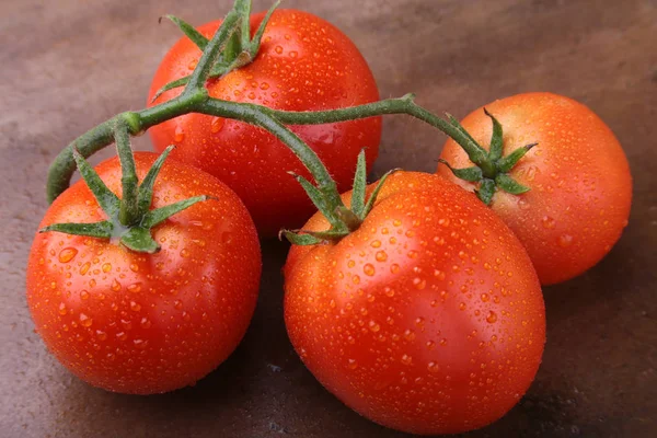 Tomatentak met zeer verse en heerlijke rode tomaten — Stockfoto