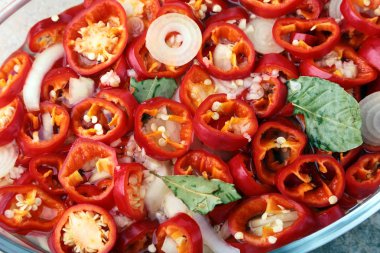 Kırmızı sıcak biber biber, sarımsak, soğan, tuz ve sirke taze organik sebze salatası için dilimler.