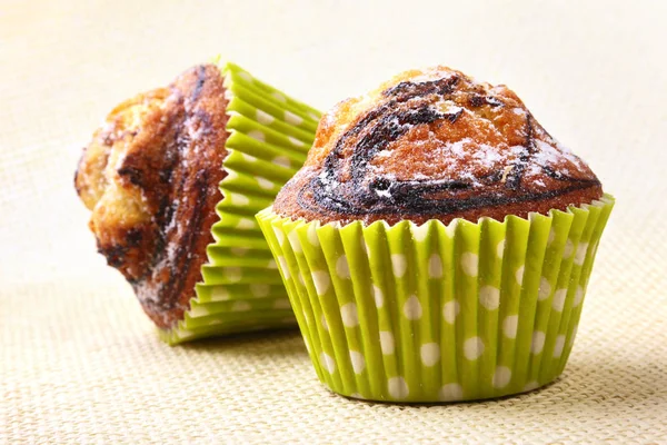 Assorted with Delicious homemade cupcakes with raisins and chocolate isolated on white background. Muffins. Top view. Copy space. — Stock Photo, Image