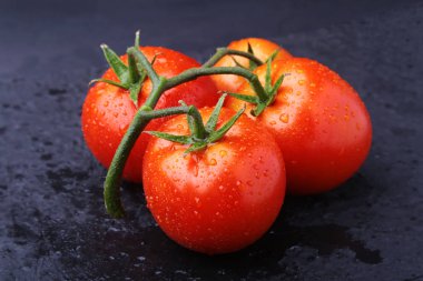 Çok taze ve lezzetli kırmızı domatesli domates dalı.