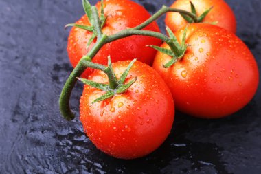 Çok taze ve lezzetli kırmızı domatesli domates dalı.