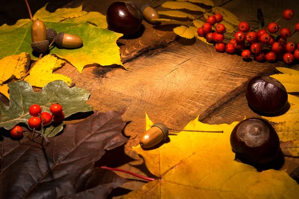 Marco de hojas de arce de otoño en madera envejecida con espacio de copia. Mockup para ofertas de temporada y tarjeta postal de vacaciones , — Foto de Stock