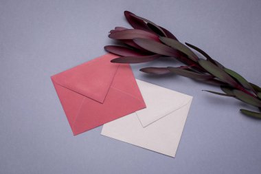 Top görünümü zarflar Bordo renk ve gri arka plan üzerinde çiçek