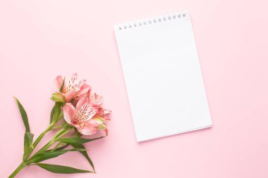 Not defteri ve çiçek Alstroemeria pembe arka plan görünümünde