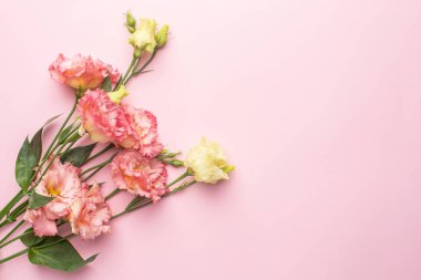 Pastel arka planda güzel pembe çiçek buketi. Telif uzayı manzaralı. Tatil ve aşk