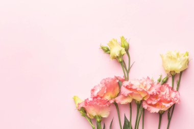 Pastel arka planda güzel pembe çiçek buketi. Telif uzayı manzaralı. Tatil ve aşk