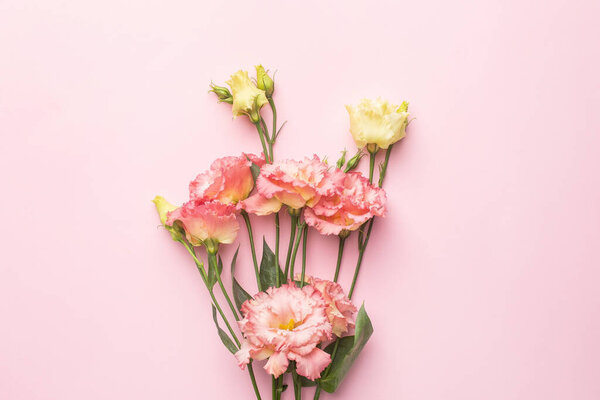 Beautiful pink flower bouquet on pastel background . Holiday and love