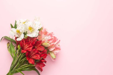 Telif alanı üst manzaralı pembe bir zemin üzerinde beyaz ve pembe çiçek Alstroemeria