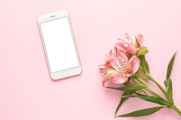 Mobile phone and flower Alstroemeria on a pink background top view