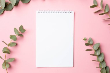 Not defteri ve yeşil bitki okaliptüs pembe arka plan görünümünde