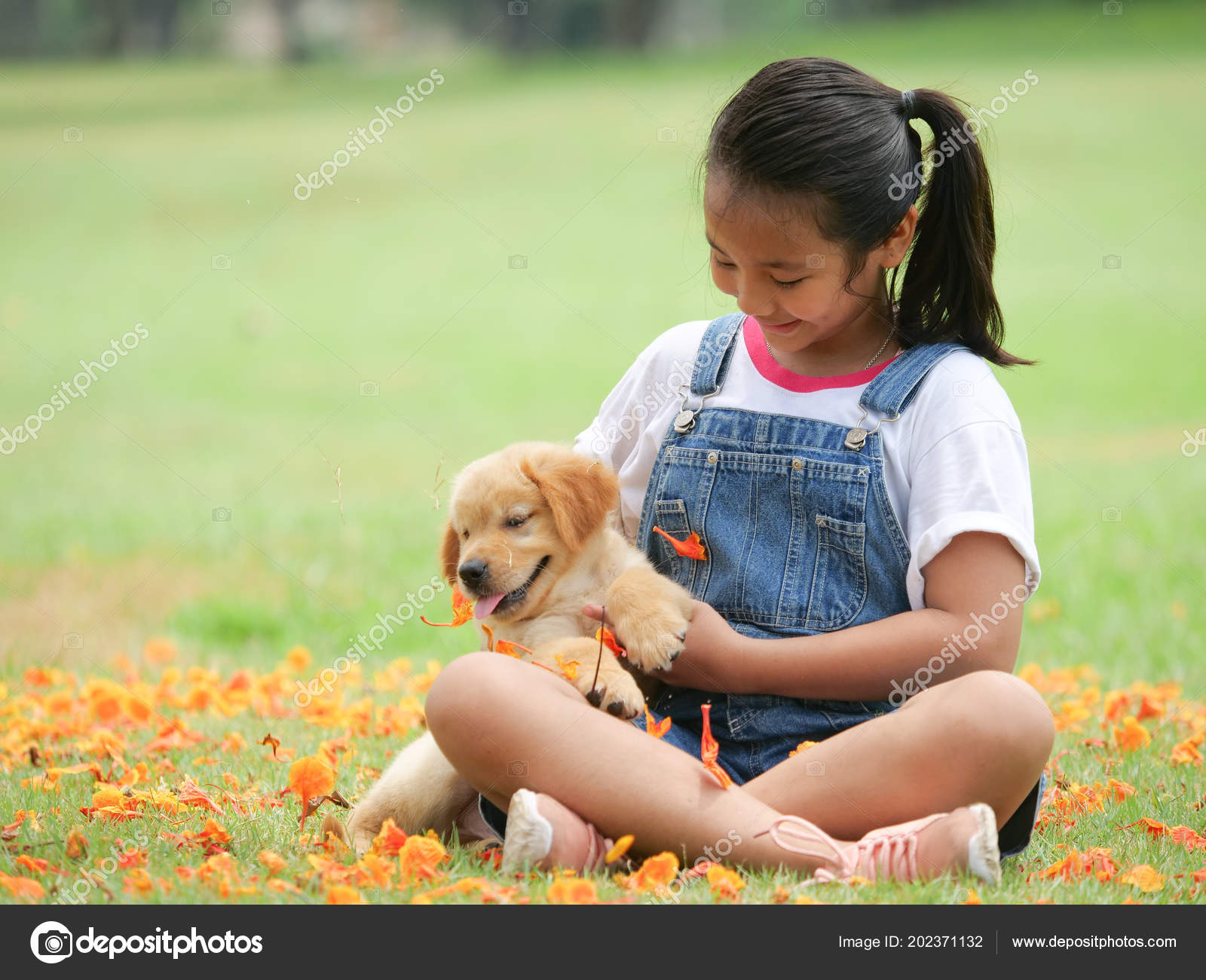 Little Asian Girl Playing Cute Golden Retriever Dog Park — Stock