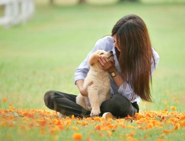 Güzel genç Asyalı kadın ile şirin golden retriever köpek parkta oynarken.