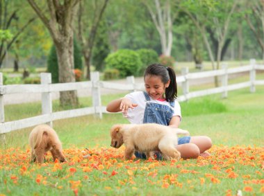 Küçük Asyalı kız parkta bir şirin golden retriever köpek ile oynarken.