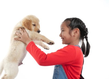 Asyalı kız onu köpek yavrusu golden retivever ile beyaz arka plan üzerinde oynama.