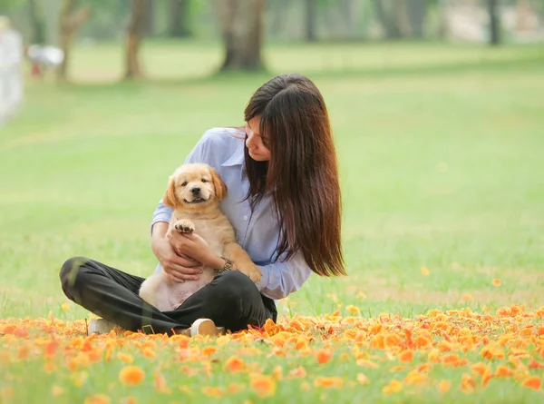Gyönyörű Fiatal Ázsiai Egy Aranyos Golden Retriever Kutyák Parkban Játszó — Stock Fotó