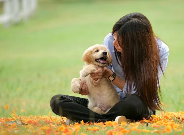 Όμορφη Νεαρή Γυναίκα Ασίας Παίζοντας Ένα Χαριτωμένο Golden Retriever Σκύλου — Φωτογραφία Αρχείου