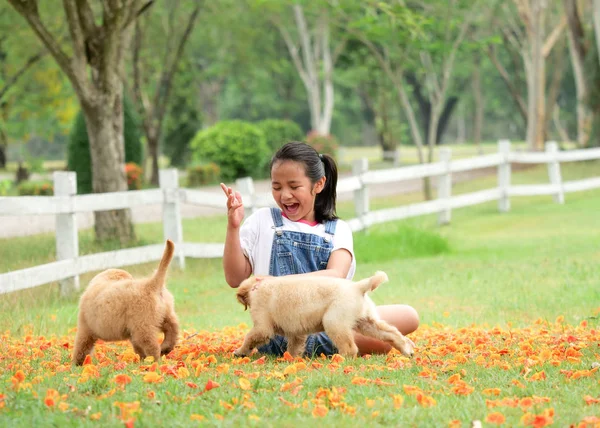 Ázsiai Kislány Egy Aranyos Golden Retriever Kutyák Parkban Játszó — Stock Fotó