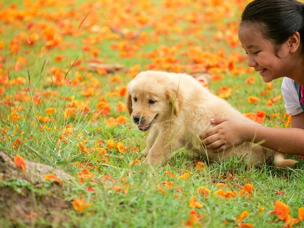 Ázsiai Kislány Egy Aranyos Golden Retriever Kutyák Parkban Játszó — Stock Fotó